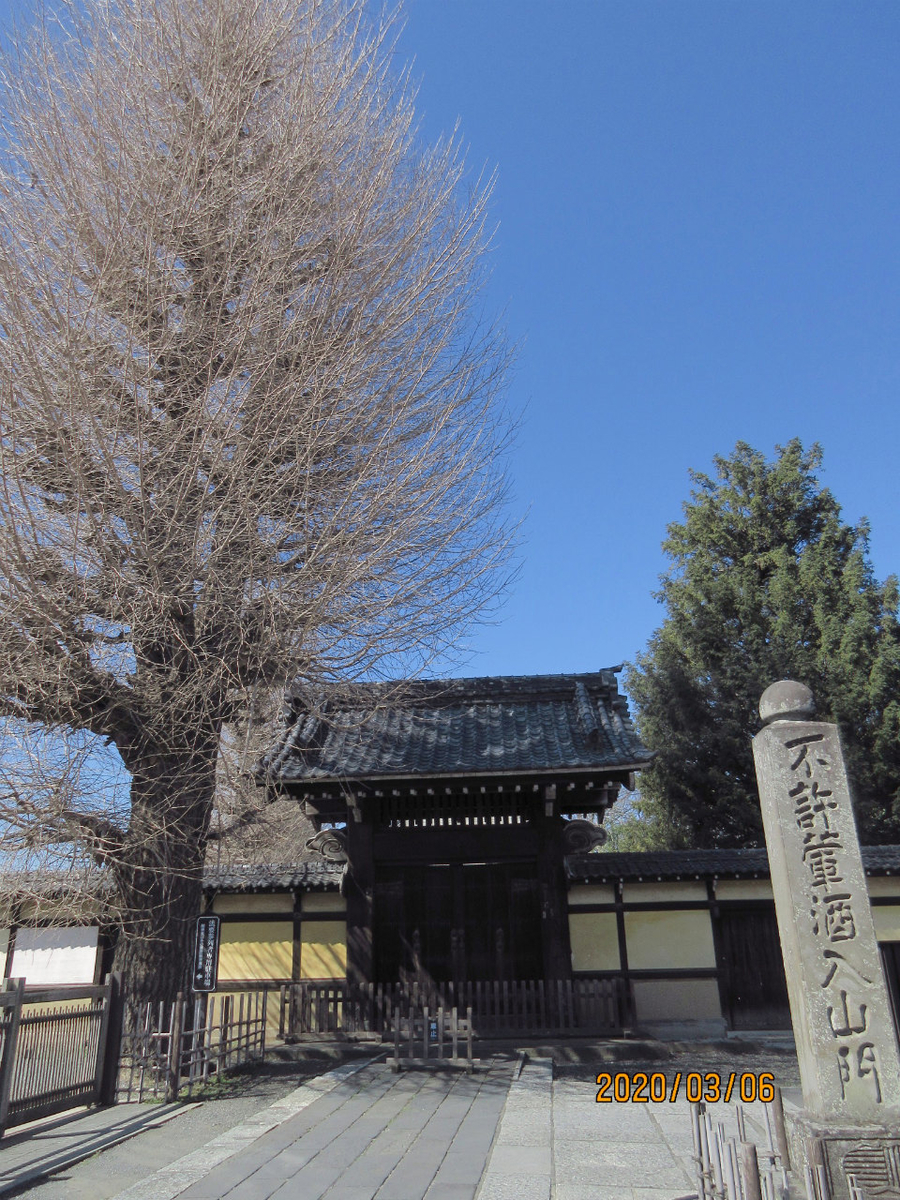 f:id:masatdm1951:20200306213435j:plain