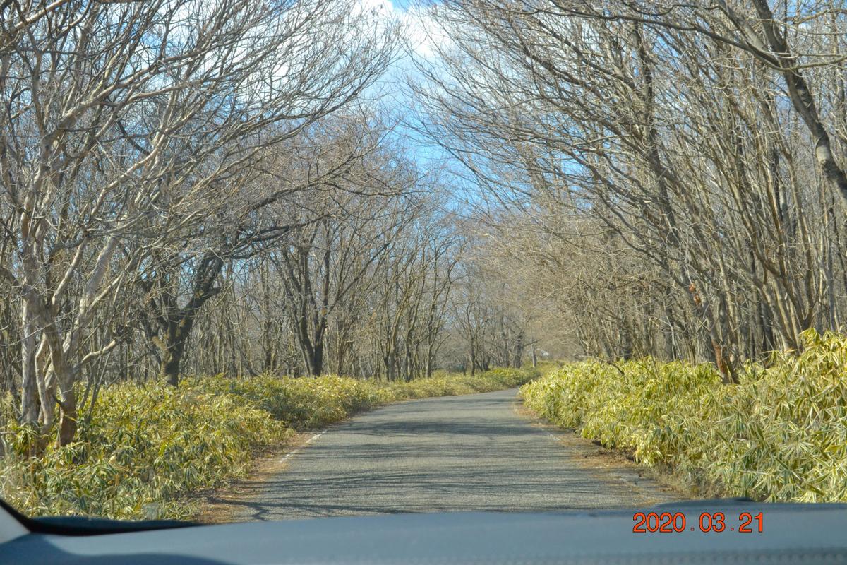 f:id:masatdm1951:20200322092859j:plain