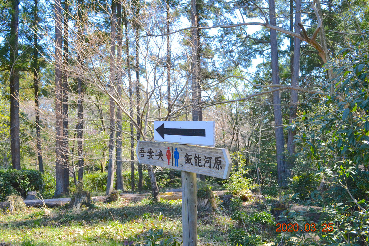 f:id:masatdm1951:20200325204453j:plain f:id:masatdm1951:20200325204453j:plain