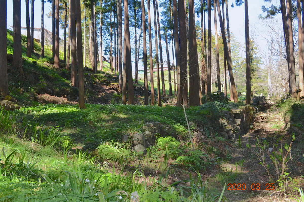 f:id:masatdm1951:20200325204527j:plain f:id:masatdm1951:20200325204527j:plain