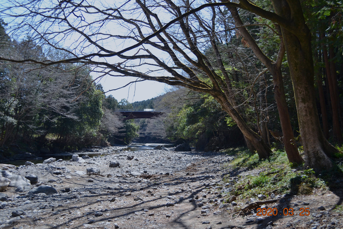 f:id:masatdm1951:20200325204544j:plain f:id:masatdm1951:20200325204544j:plain