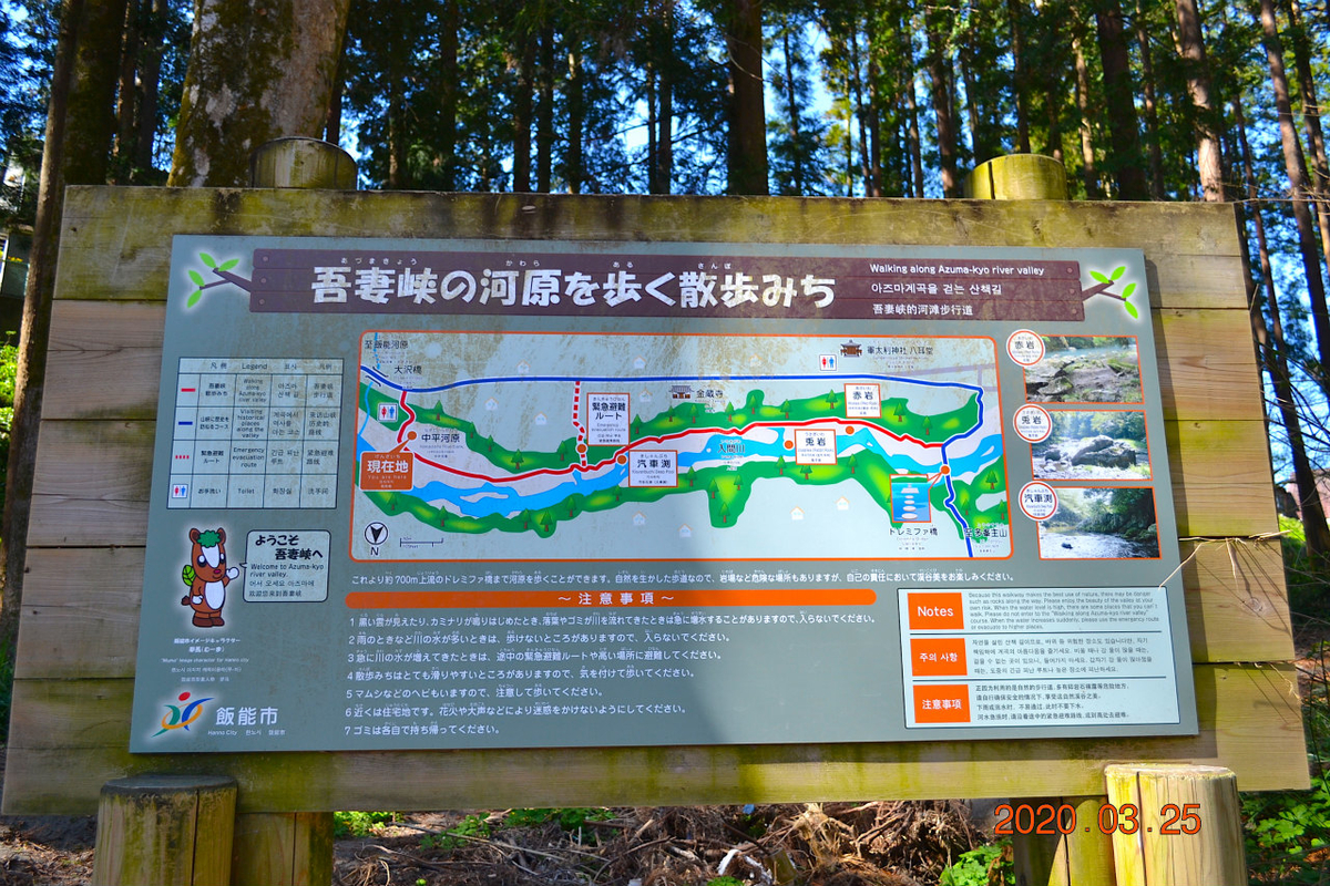 f:id:masatdm1951:20200325204550j:plain f:id:masatdm1951:20200325204550j:plain