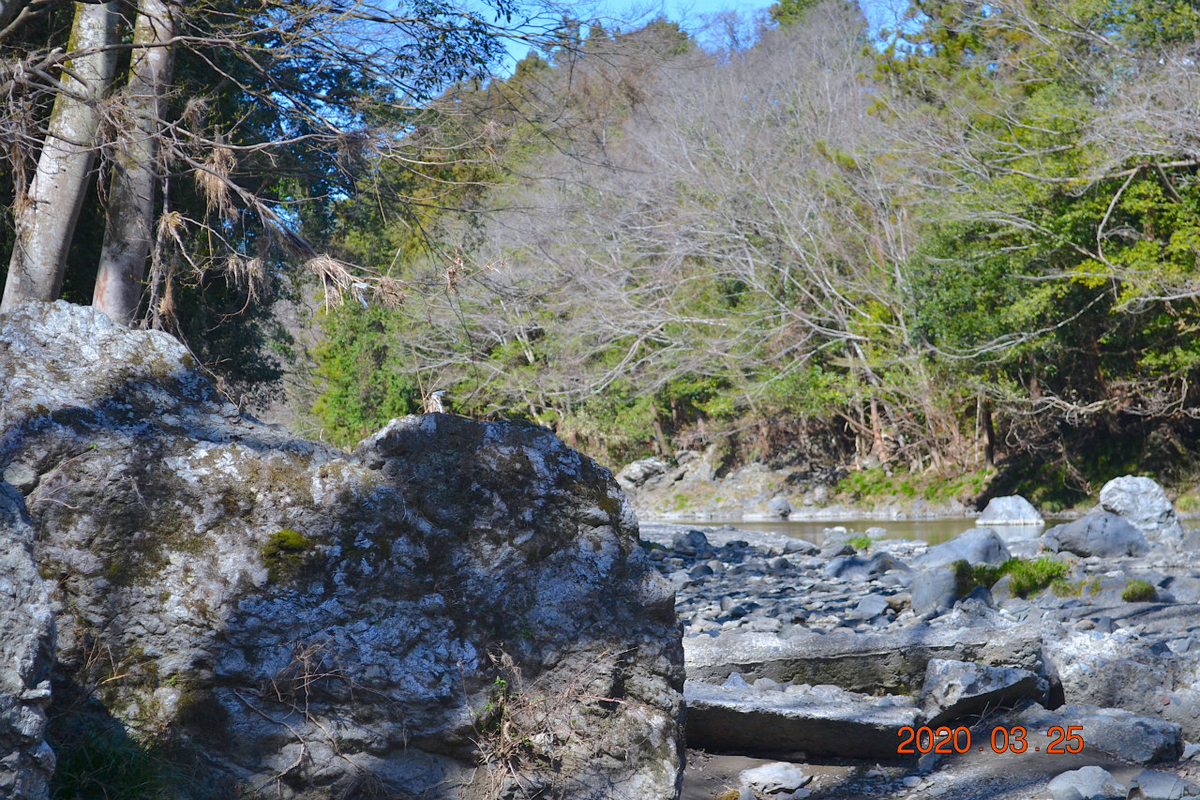 f:id:masatdm1951:20200325204709j:plain f:id:masatdm1951:20200325204709j:plain