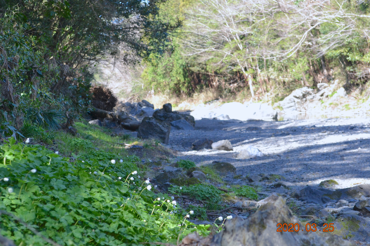 f:id:masatdm1951:20200325204735j:plain f:id:masatdm1951:20200325204735j:plain