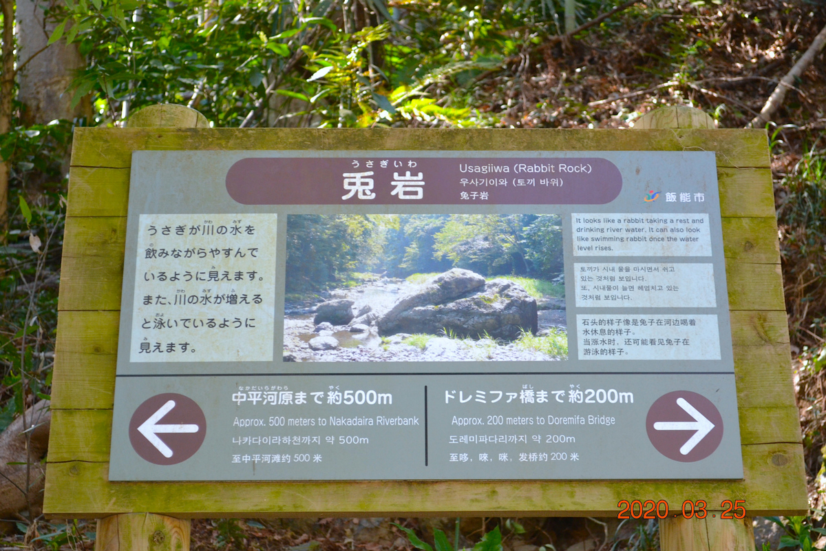 f:id:masatdm1951:20200325204820j:plain f:id:masatdm1951:20200325204820j:plain