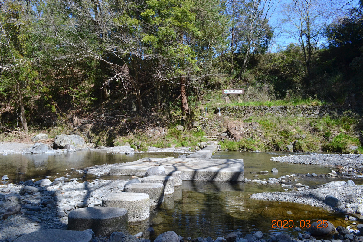 f:id:masatdm1951:20200325205017j:plain f:id:masatdm1951:20200325205017j:plain