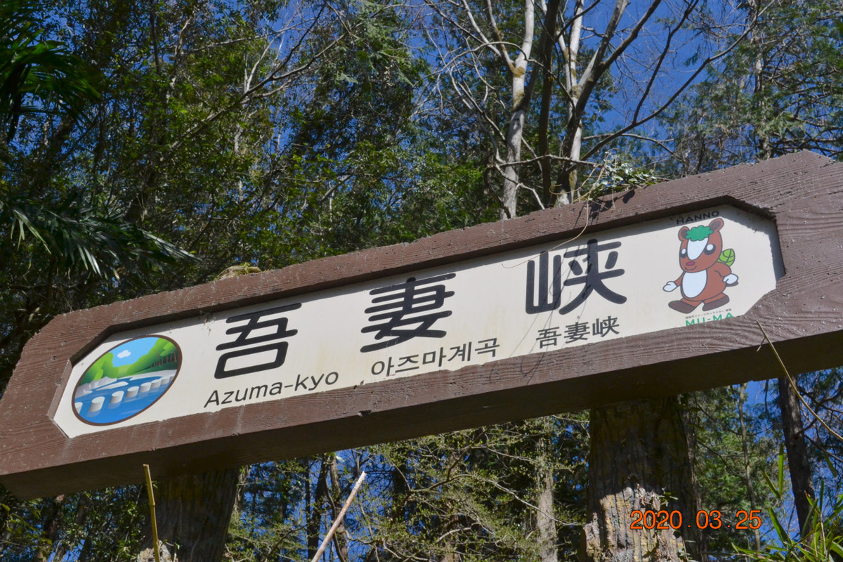 f:id:masatdm1951:20200325205337j:plain f:id:masatdm1951:20200325205337j:plain