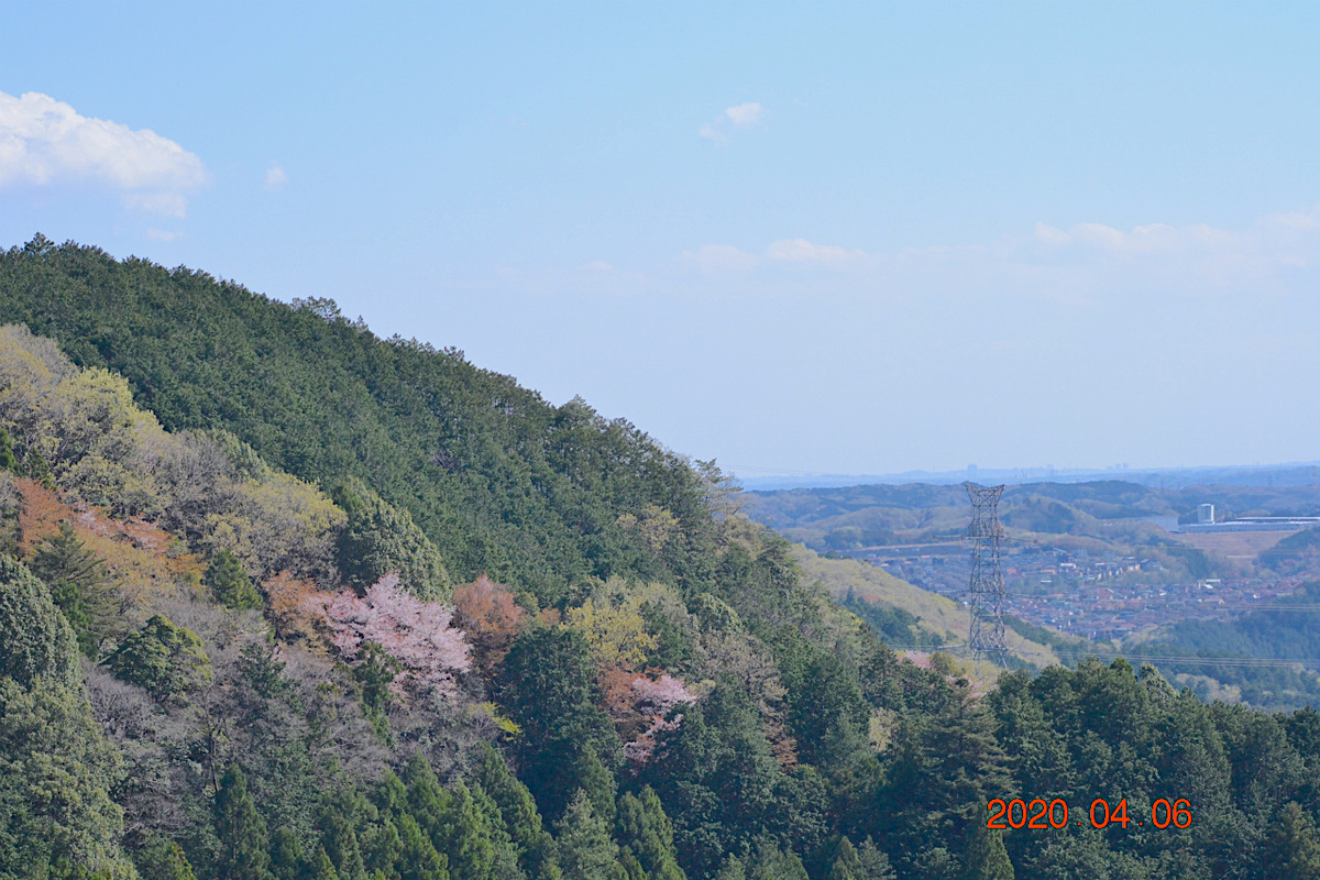 f:id:masatdm1951:20200406215439j:plain