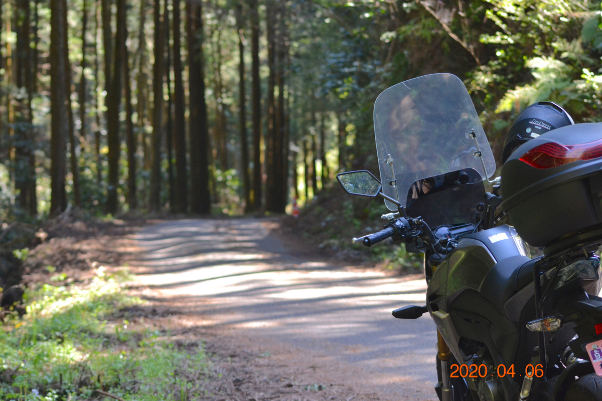 f:id:masatdm1951:20200406215609j:plain