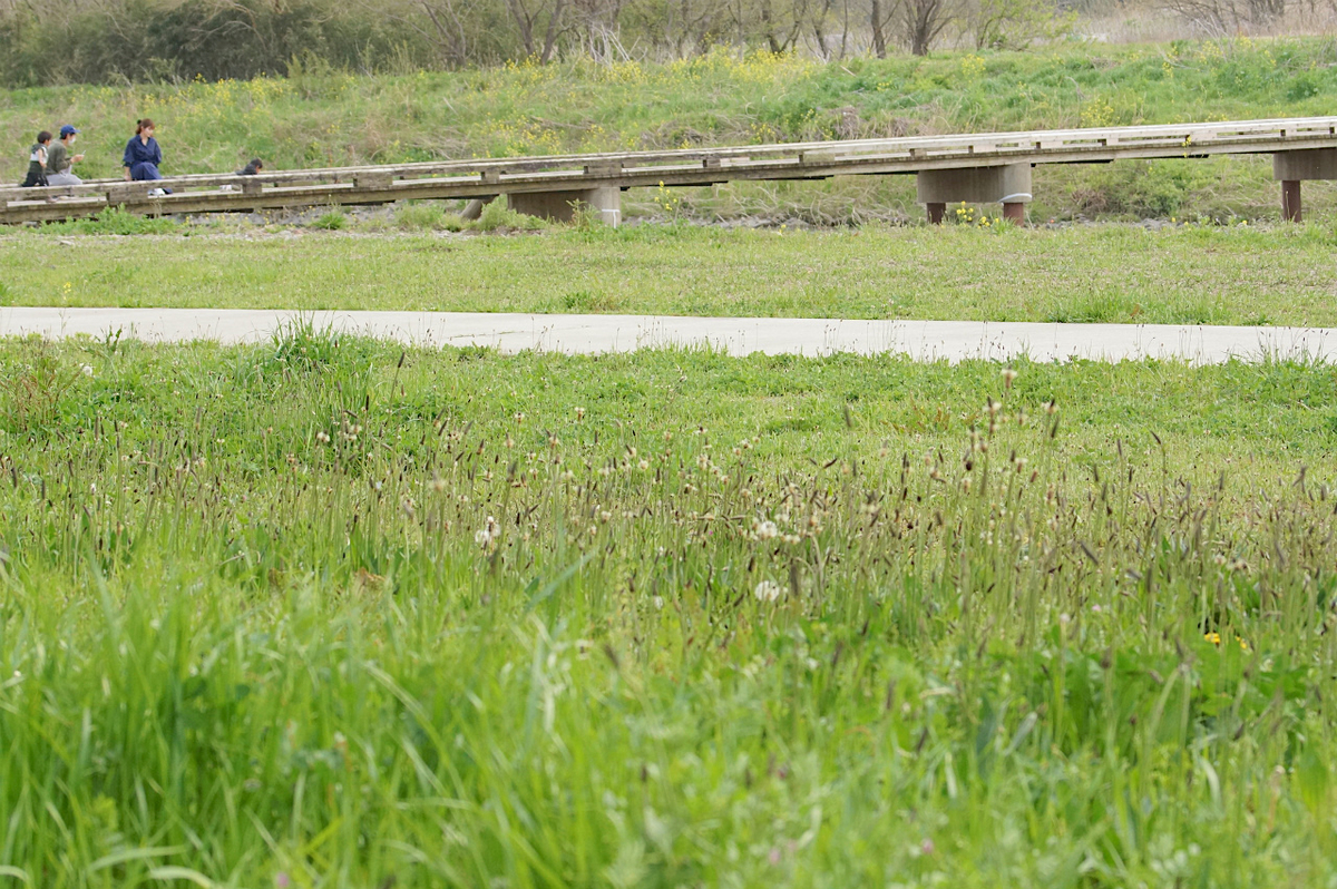 f:id:masatdm1951:20200417091707j:plain