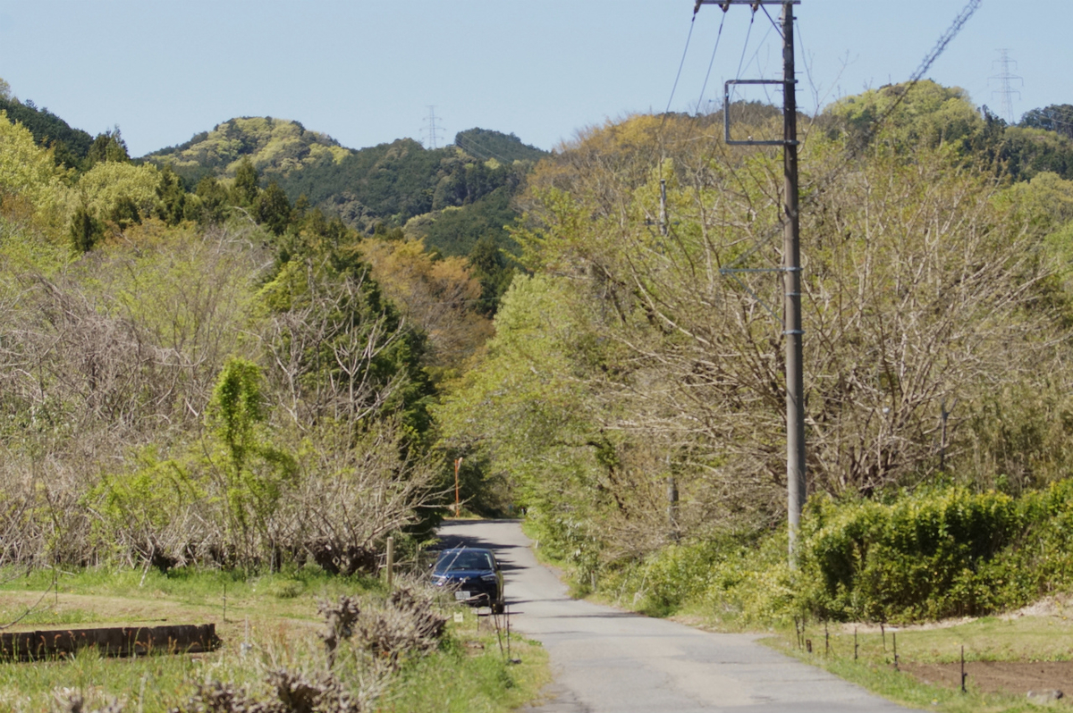 f:id:masatdm1951:20200419182954j:plain