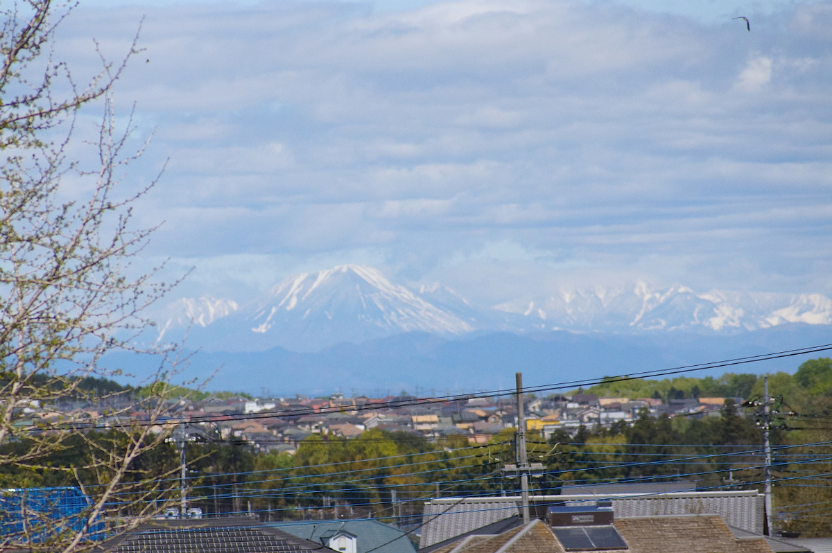 f:id:masatdm1951:20200419183154j:plain