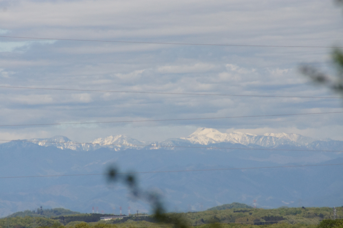 f:id:masatdm1951:20200419183231j:plain