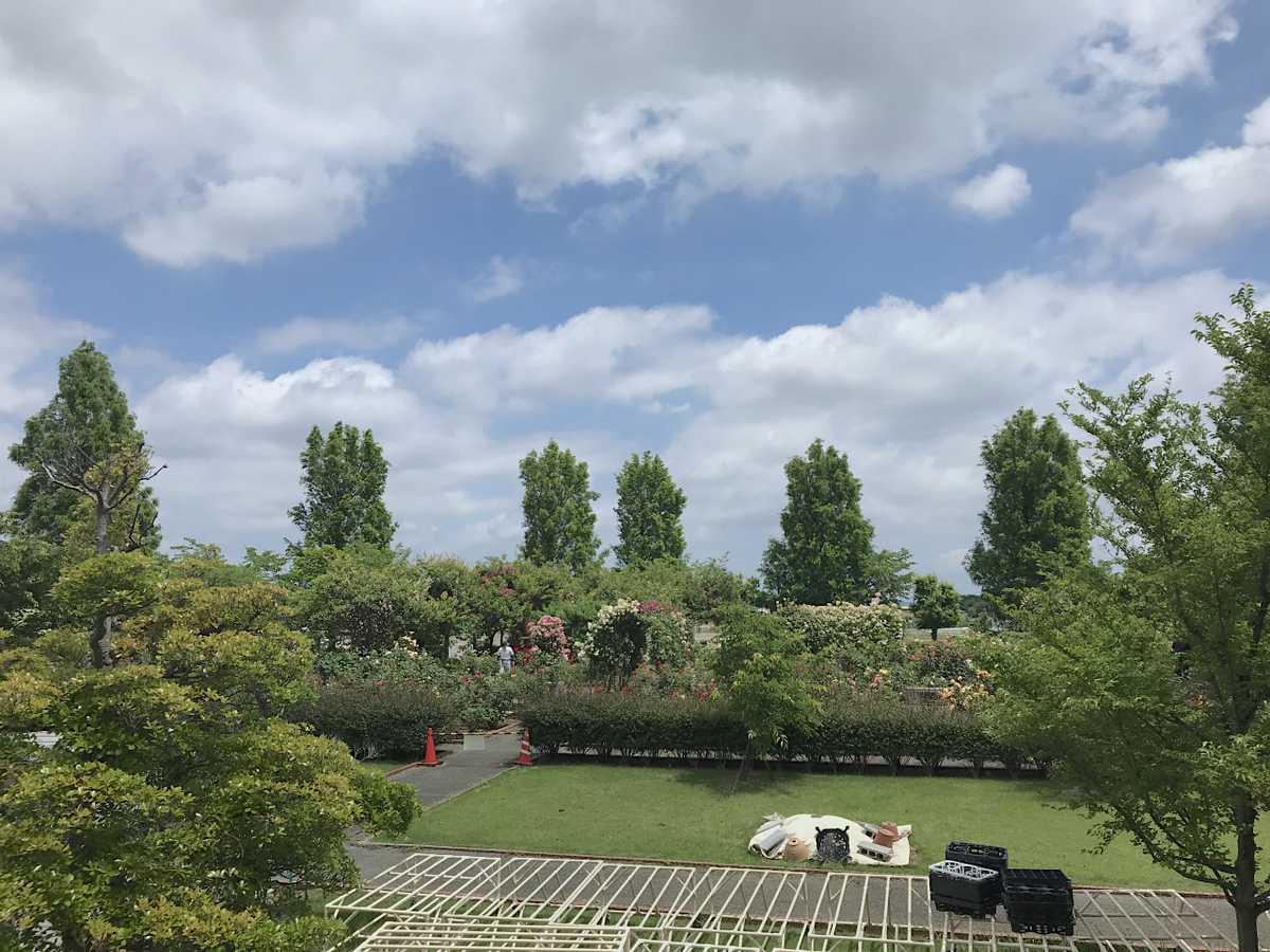 f:id:masatdm1951:20200602222812j:plain