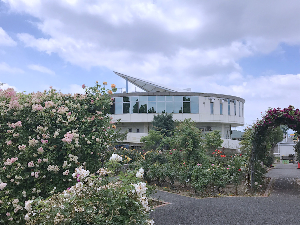 f:id:masatdm1951:20200602224210j:plain