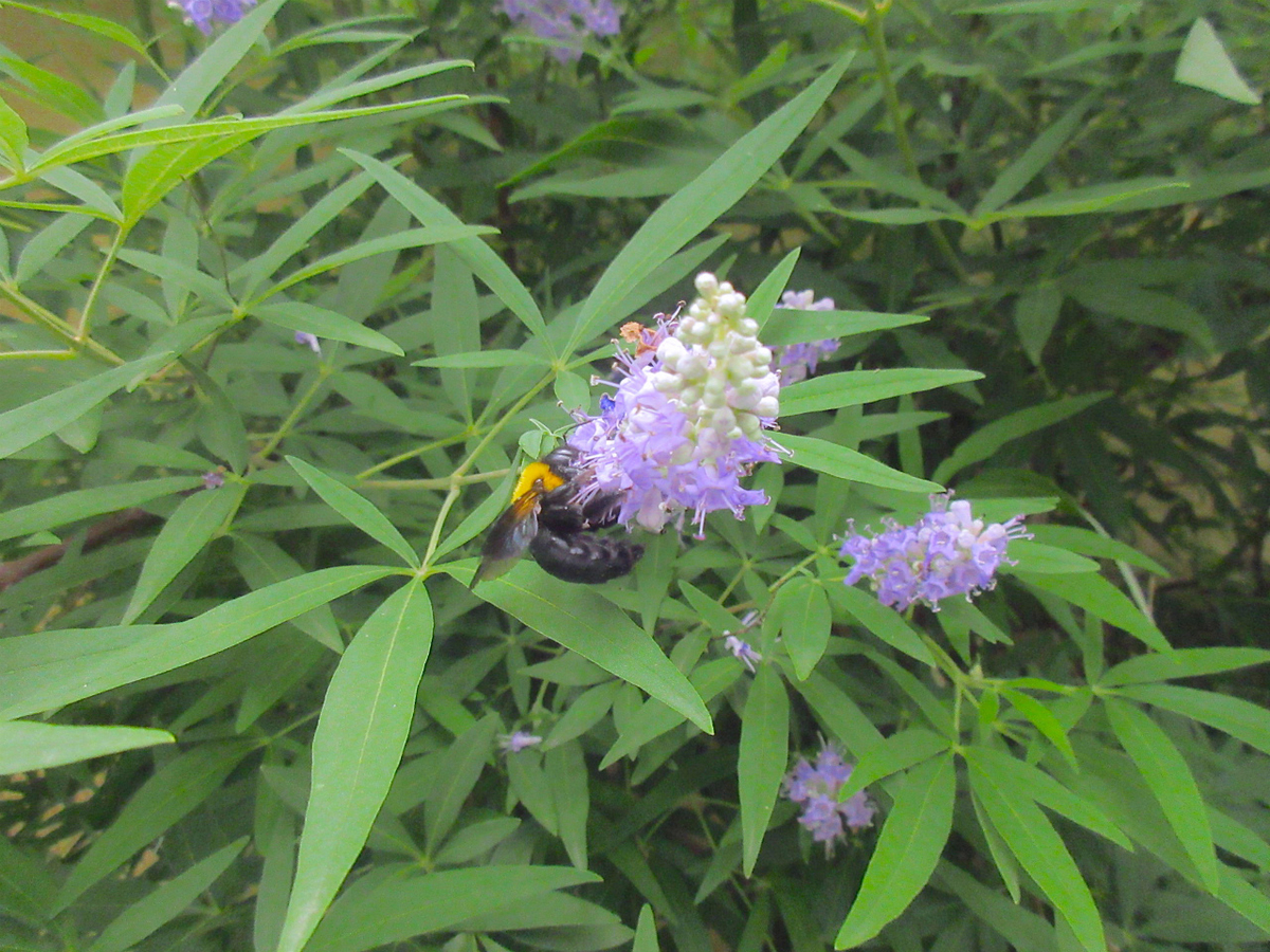 f:id:masatdm1951:20200624212056j:plain