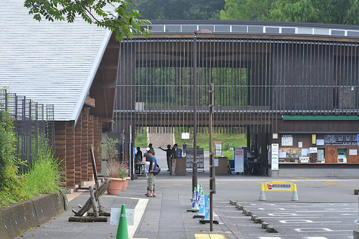 f:id:masatdm1951:20200723045545j:plain f:id:masatdm1951:20200723045545j:plain