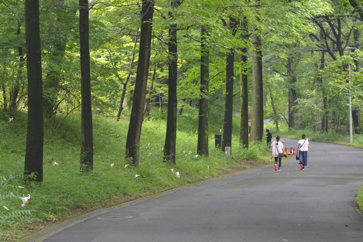 f:id:masatdm1951:20200723045648j:plain f:id:masatdm1951:20200723045648j:plain