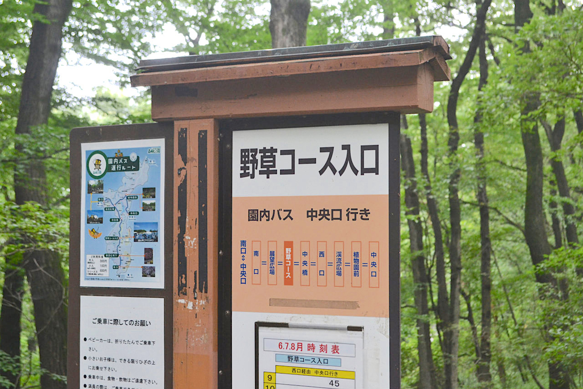 f:id:masatdm1951:20200723070406j:plain f:id:masatdm1951:20200723070406j:plain