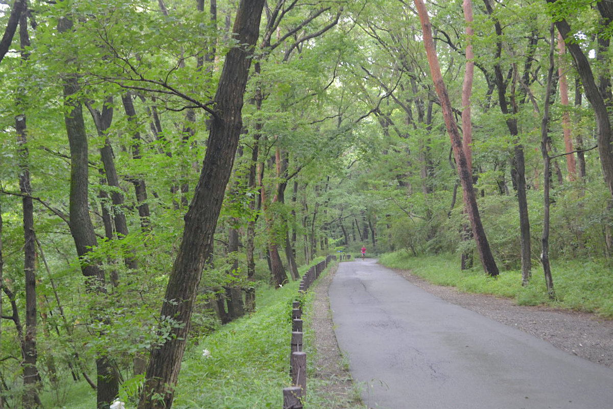 f:id:masatdm1951:20200723070410j:plain f:id:masatdm1951:20200723070410j:plain