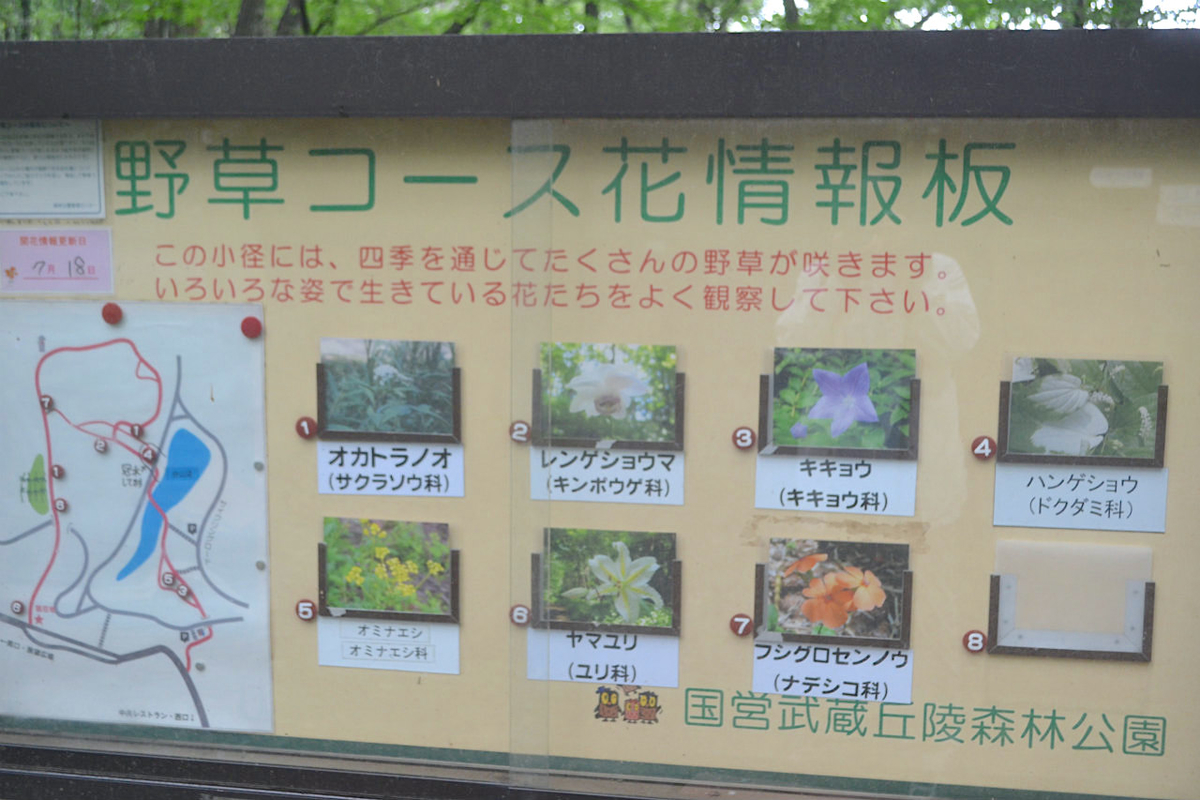 f:id:masatdm1951:20200723070413j:plain f:id:masatdm1951:20200723070413j:plain