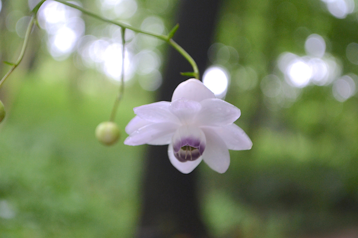 f:id:masatdm1951:20200723070512j:plain f:id:masatdm1951:20200723070512j:plain