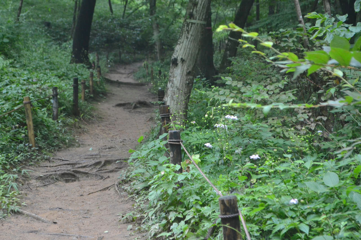 f:id:masatdm1951:20200723070715j:plain f:id:masatdm1951:20200723070715j:plain