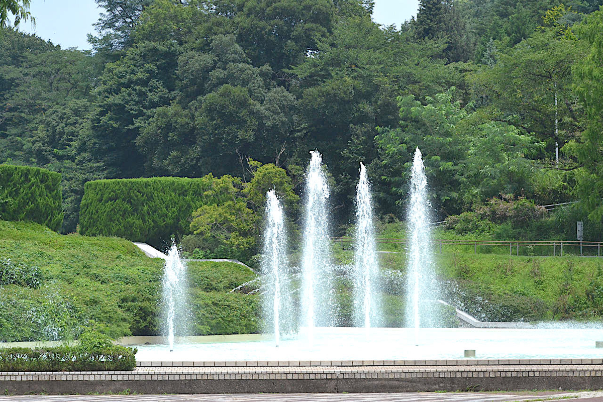 f:id:masatdm1951:20200723070958j:plain f:id:masatdm1951:20200723070958j:plain