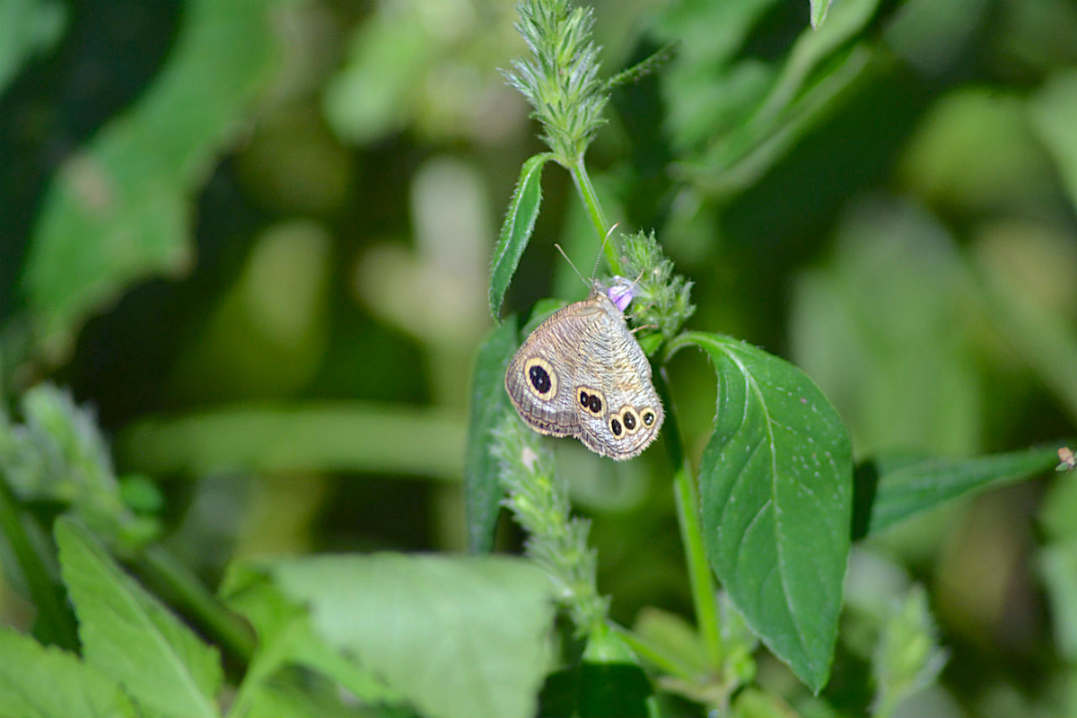 f:id:masatdm1951:20200911162126j:plain