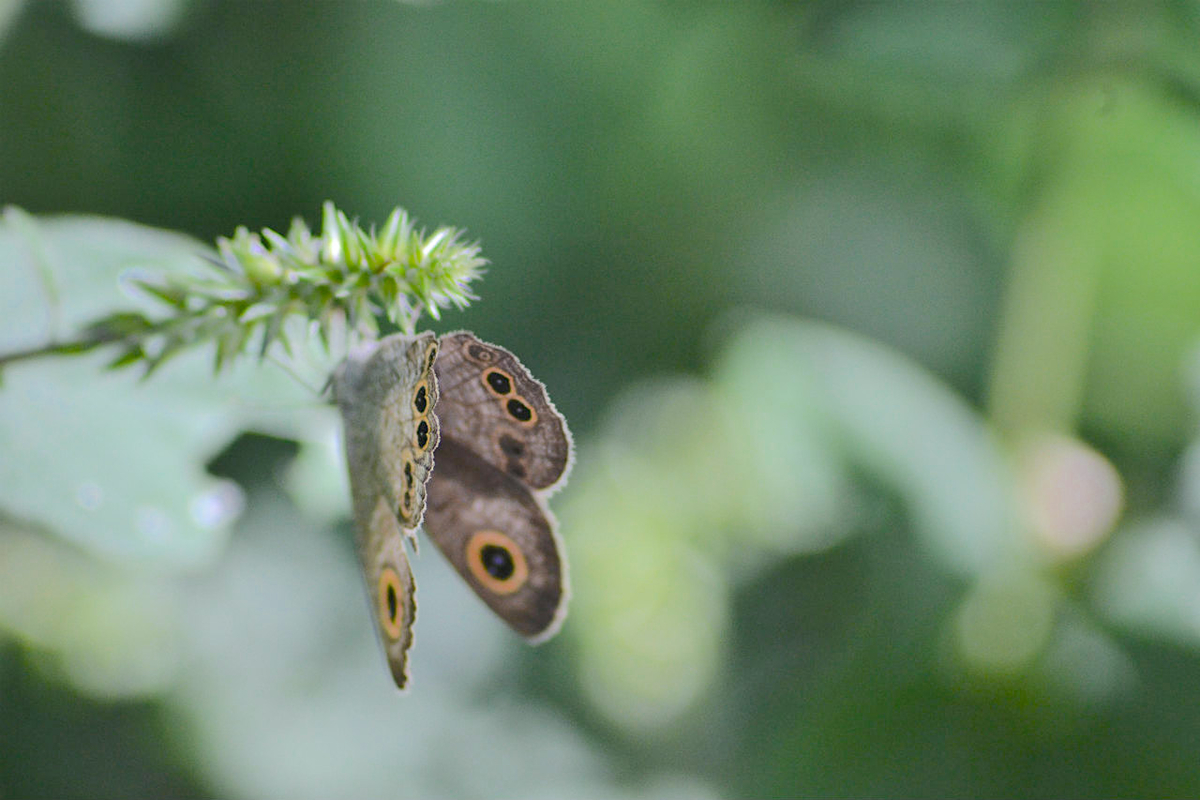 f:id:masatdm1951:20200911162148j:plain