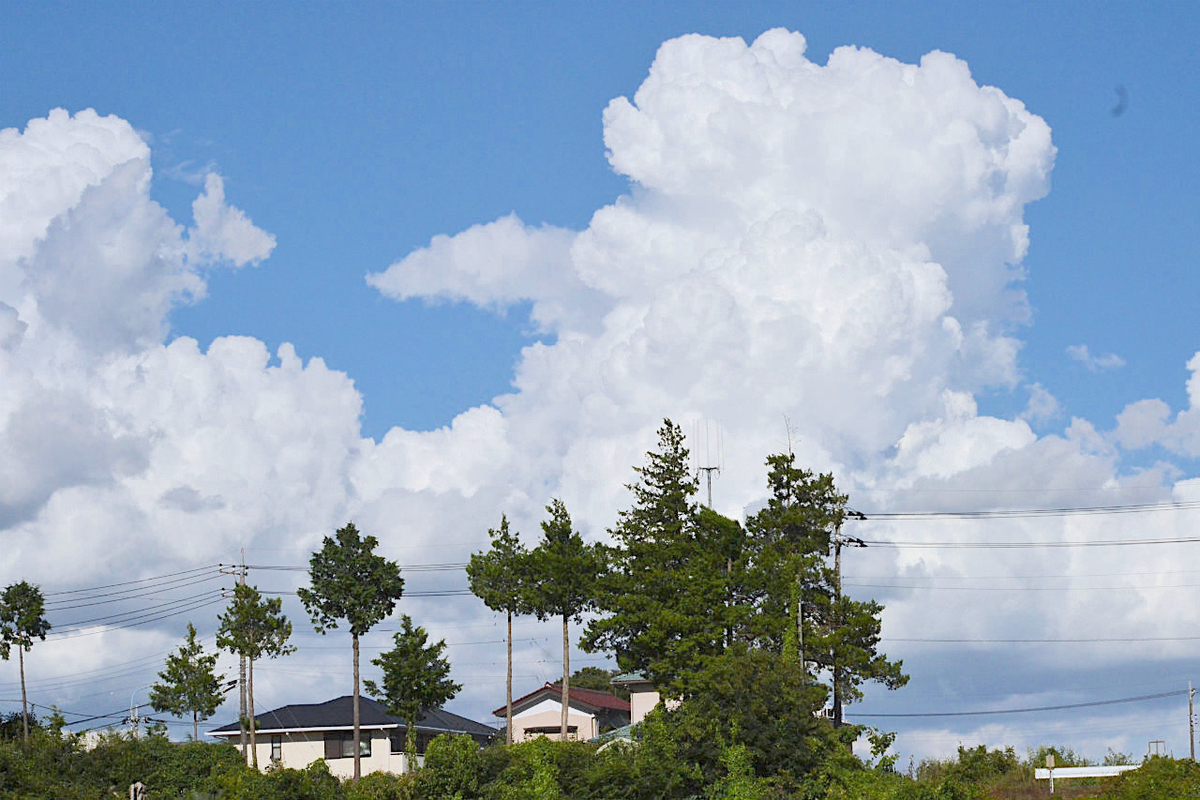 f:id:masatdm1951:20200911162313j:plain