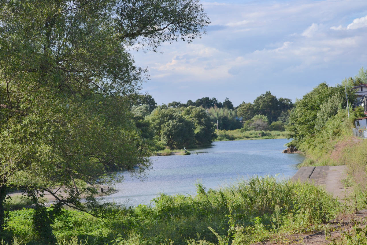 f:id:masatdm1951:20200911162323j:plain