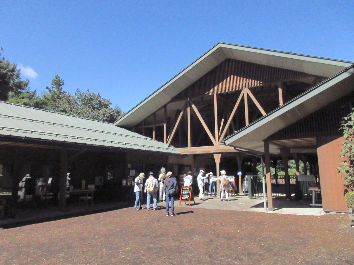 f:id:masatdm1951:20200928213913j:plain f:id:masatdm1951:20200928213913j:plain