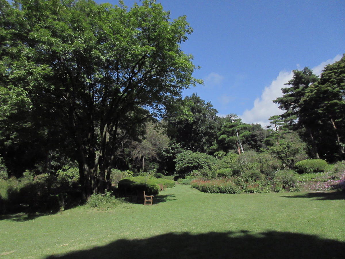 f:id:masatdm1951:20200928214151j:plain f:id:masatdm1951:20200928214151j:plain