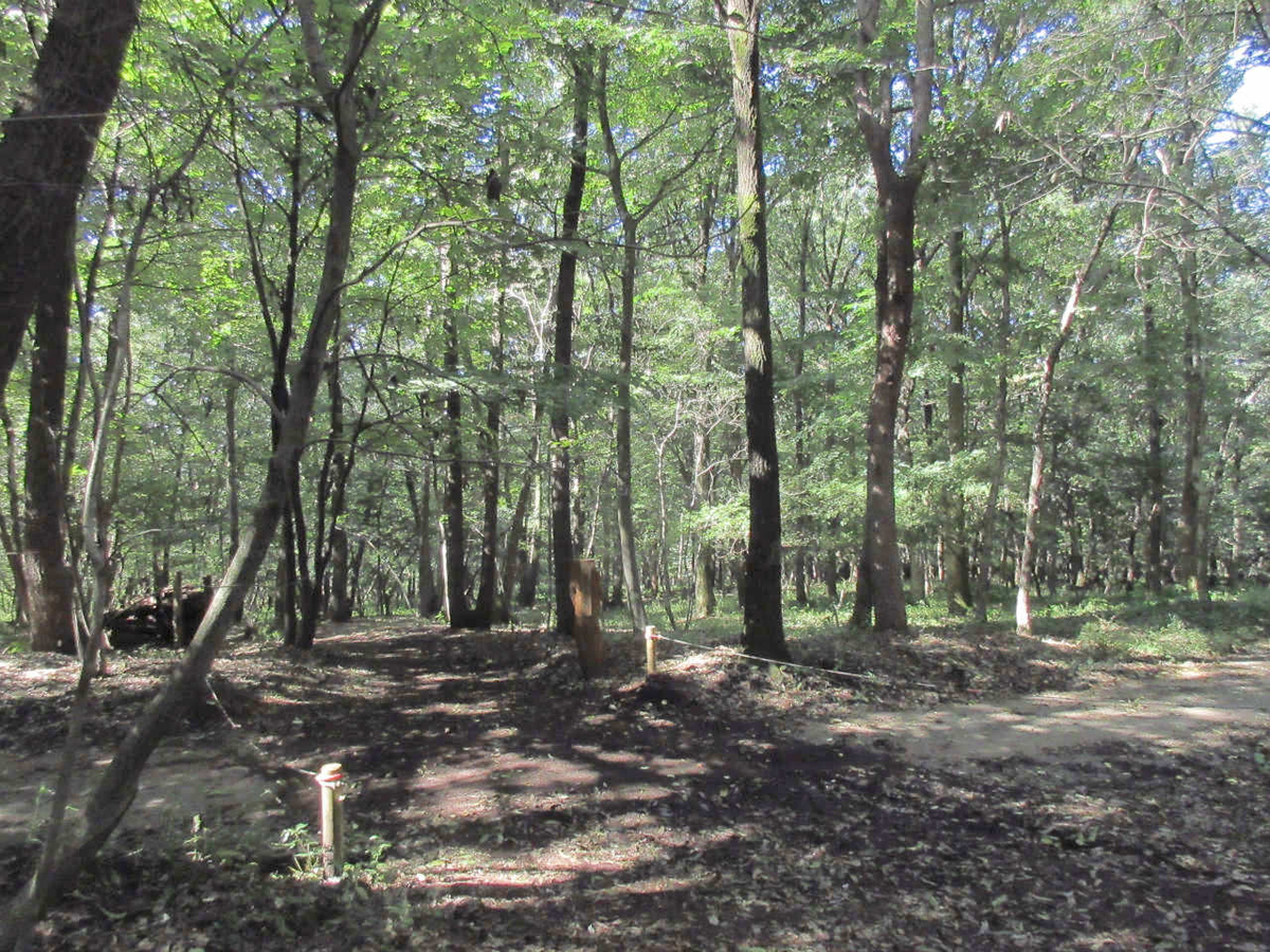 f:id:masatdm1951:20200928220416j:plain f:id:masatdm1951:20200928220416j:plain