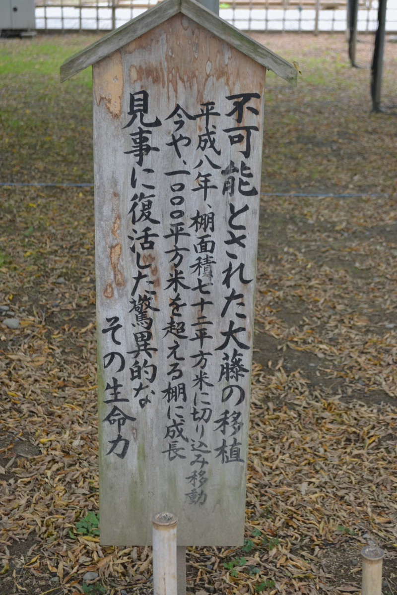 f:id:masatdm1951:20201102214005j:plain