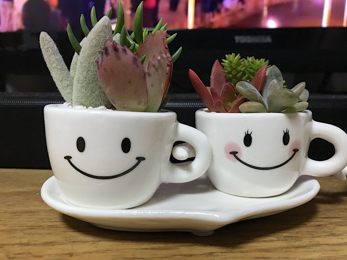 f:id:masatdm1951:20201102214211j:plain