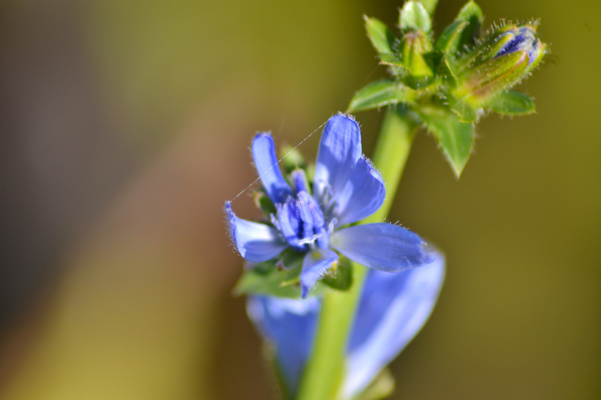 f:id:masatdm1951:20201214215731j:plain