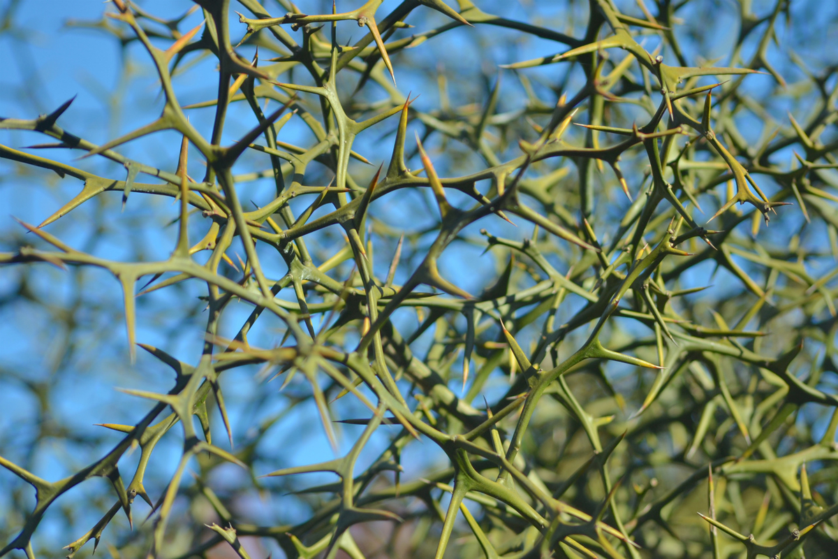 f:id:masatdm1951:20201214215744j:plain