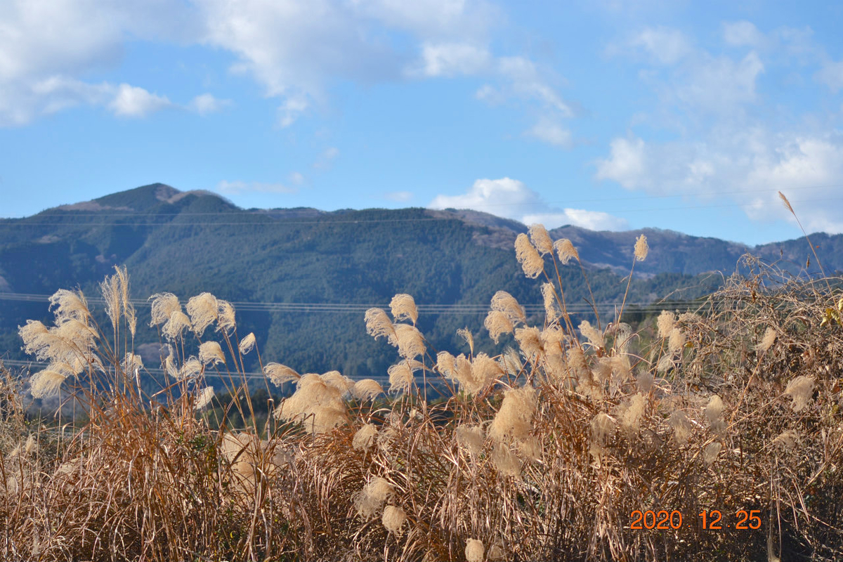 f:id:masatdm1951:20201225225352j:plain