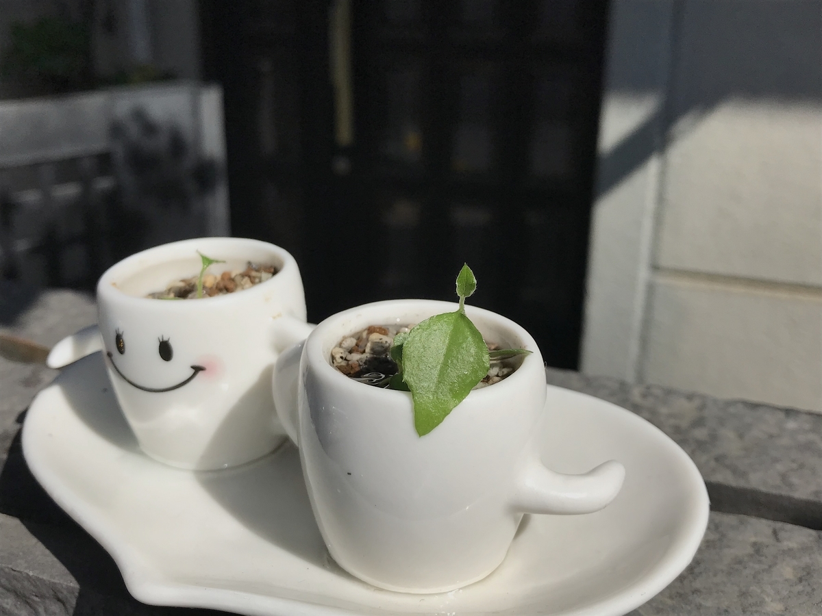 f:id:masatdm1951:20210409084715j:plain