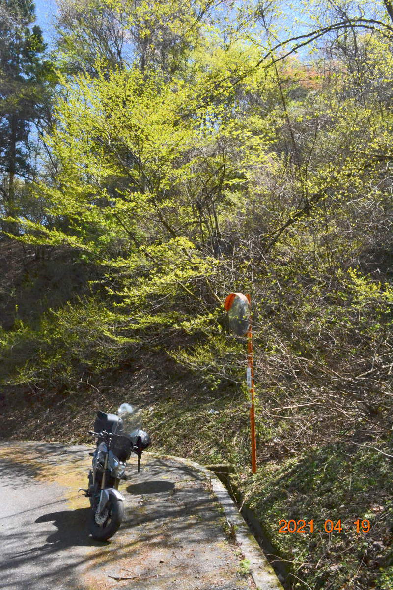 f:id:masatdm1951:20210419171741j:plain