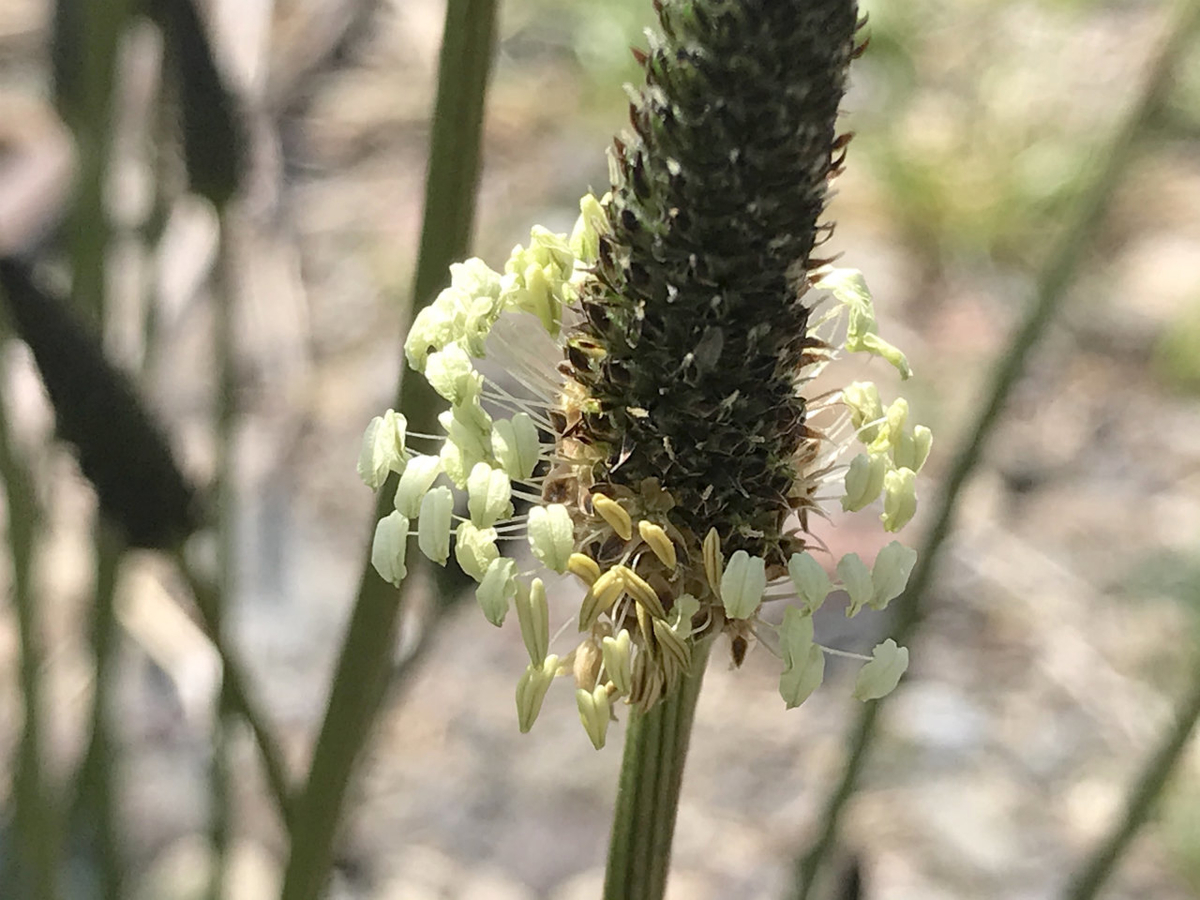 f:id:masatdm1951:20210420113736j:plain