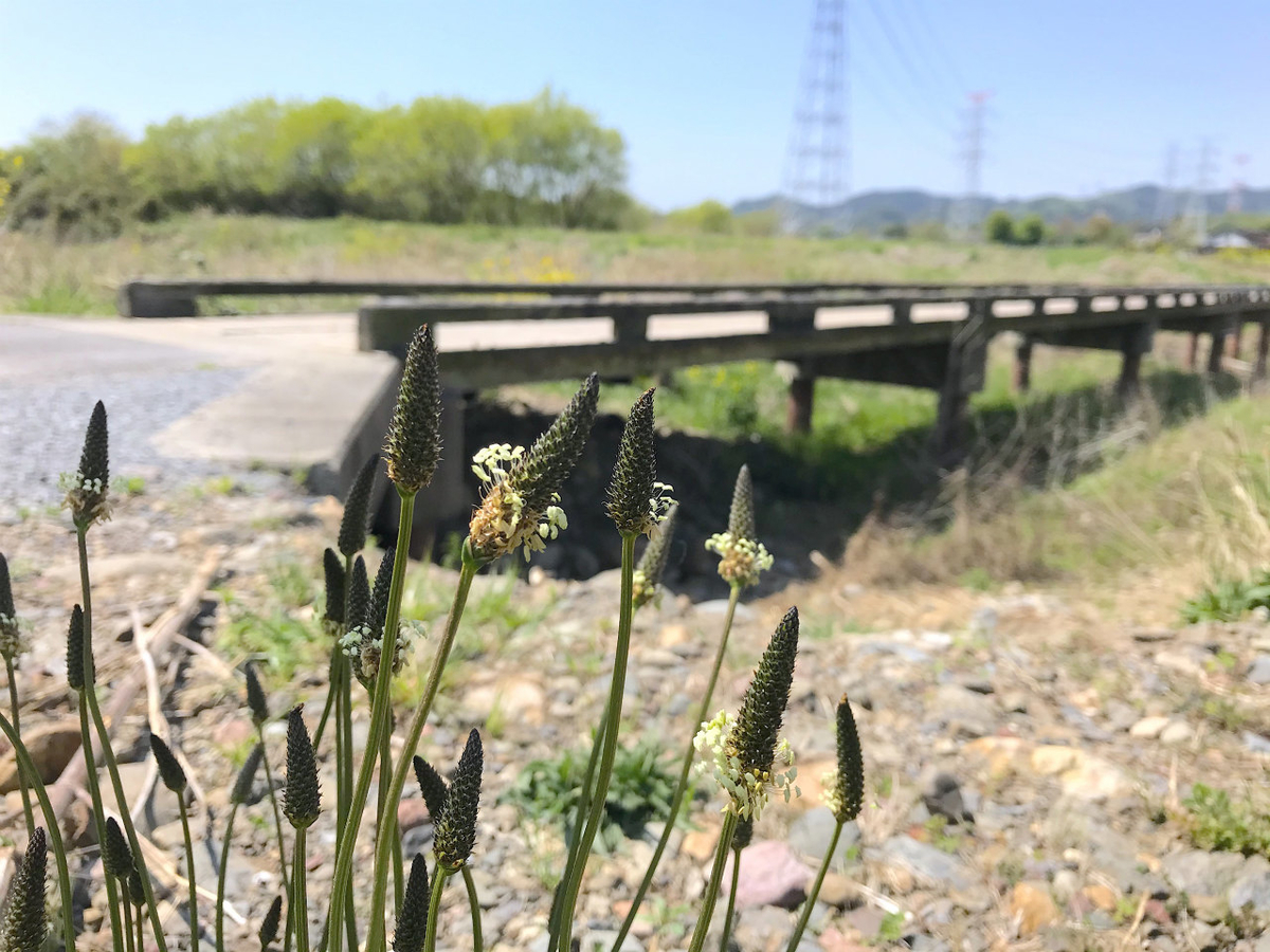 f:id:masatdm1951:20210420113738j:plain