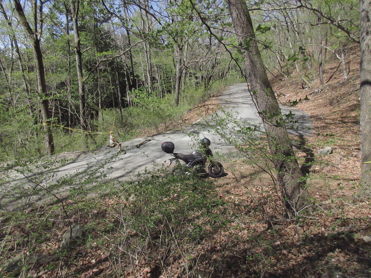 f:id:masatdm1951:20210422162904j:plain