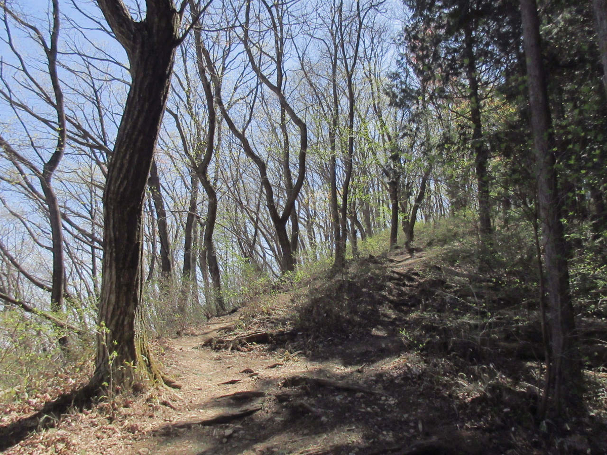 f:id:masatdm1951:20210422163036j:plain