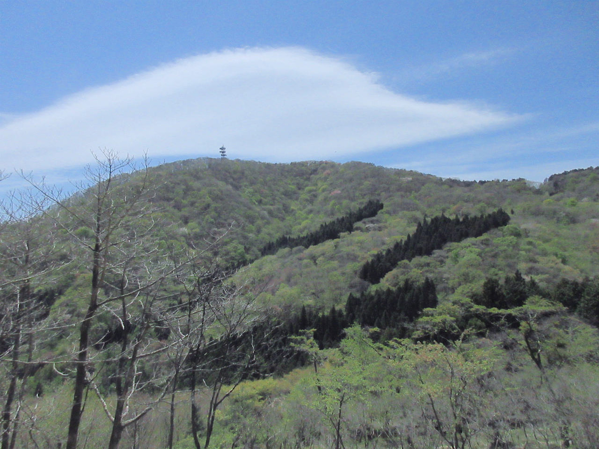 f:id:masatdm1951:20210422164229j:plain