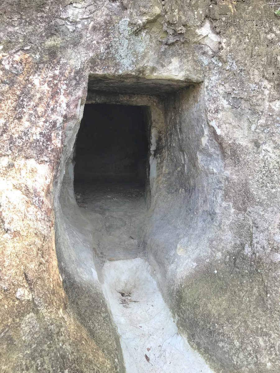 f:id:masatdm1951:20210616223341j:plain