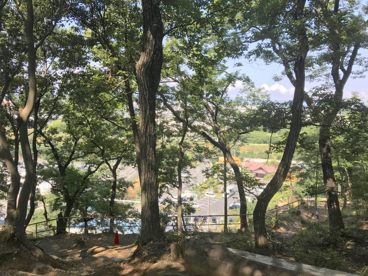 f:id:masatdm1951:20210616223539j:plain