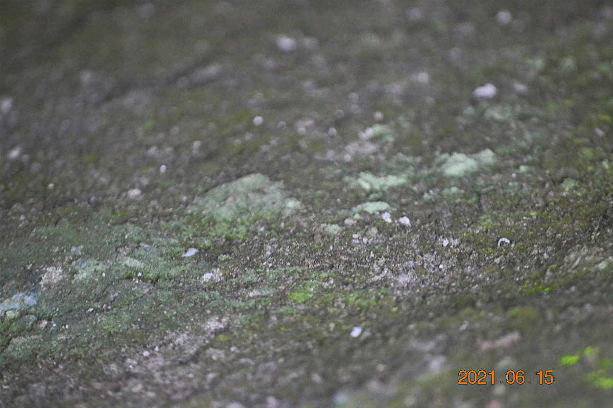 f:id:masatdm1951:20210616223736j:plain